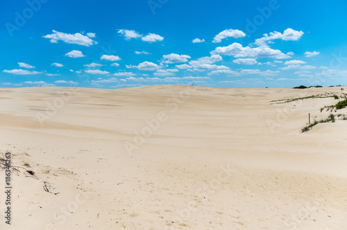 The dunes at Jockey ridge Outer Banks
