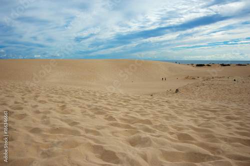 Desert dunes leading to the sea 