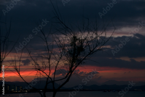 Cloudy sunset bay scenery with bare branched blurry tree in foreground