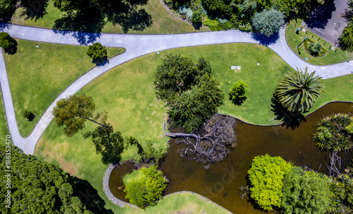 Drone photo of park with a dead tree in the middle © Richard