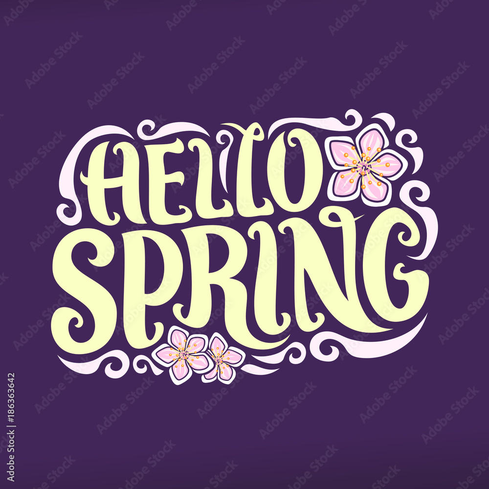 Vector poster for Spring season, lettering typography for calligraphic spring sign, decorative handwritten font for pastel text hello spring, vintage springtime logo with pink rose of sharon on purple Vector poster for Spring season, lettering typography for calligraphic spring sign, decorative handwritten font for pastel text hello spring, vintage springtime logo with pink rose of sharon on purple