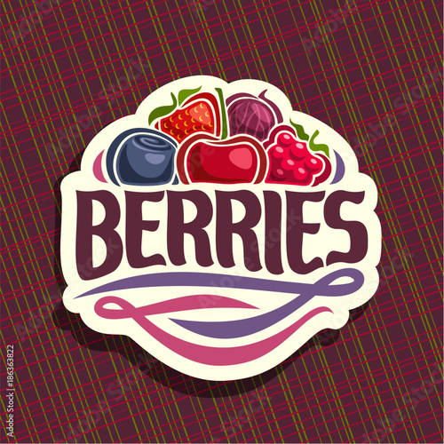 Vector logo for Berries, cut sign with fresh strawberry, red gooseberry, healthy blueberry, cherry berry, ripe raspberry on geometric background, veg mix label with text berries for vegan nutrition.