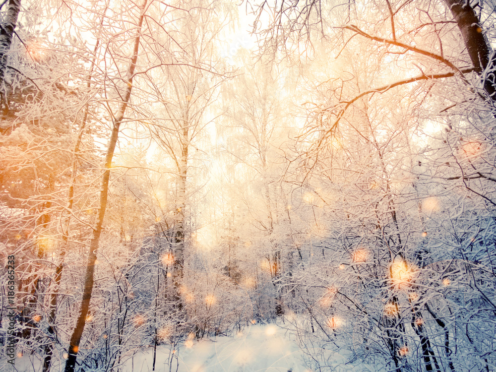 Naklejka premium magic winter landscape forest in snow frost with christmas lights garland