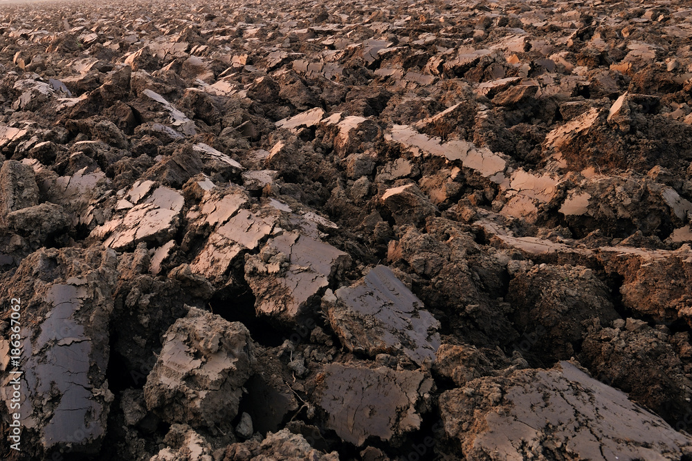 plowed soil. spring field. sunset over ploughed field. plowed soil. spring field. sunset over ploughed field.