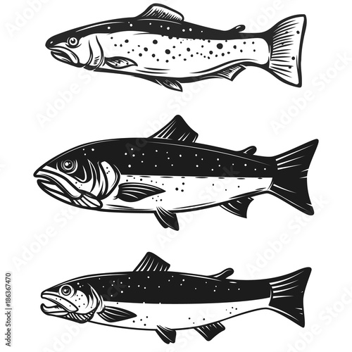 Set of trout fish illustration isolated on white background. Design element for poster, emblem, logo, sign.