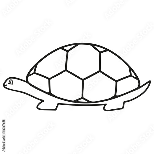 Turtle line icon