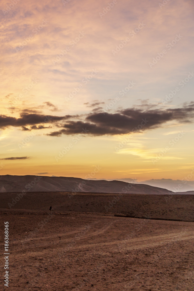Vertical photo morning in negev desert in Israel