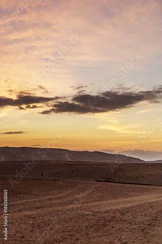 Vertical photo morning in negev desert in Israel