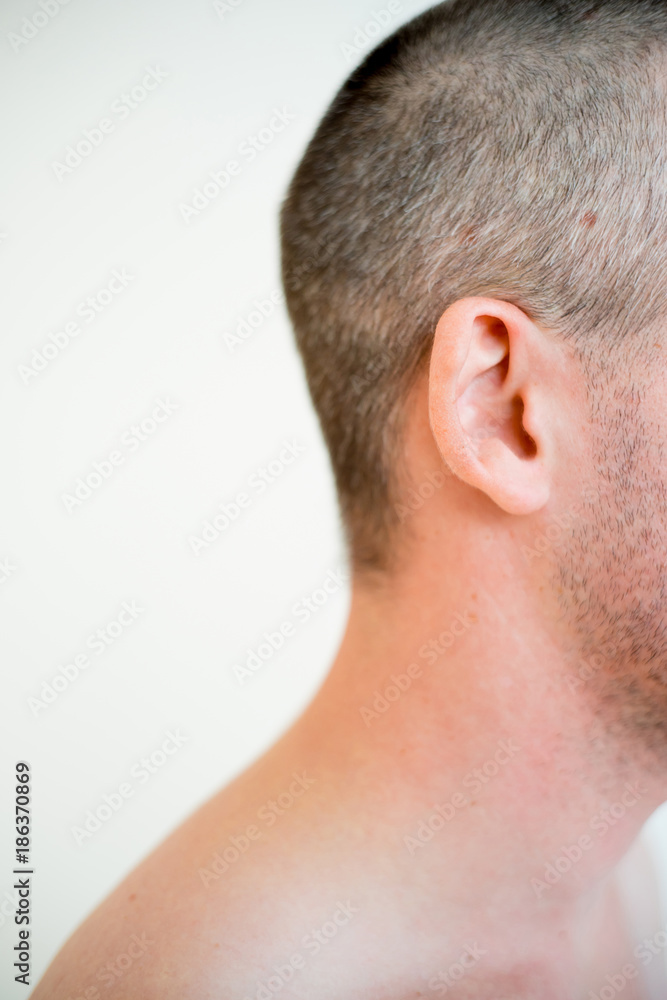 Fototapeta premium Man body parts