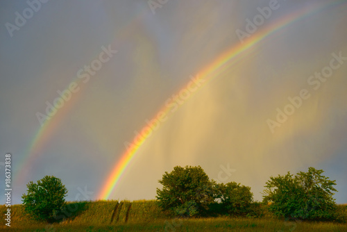 Fototapeta Naklejka Na Ścianę i Meble -  rainbow in a blue sky after the rain