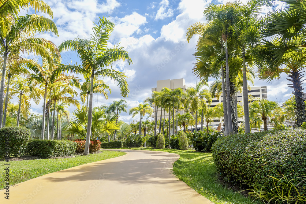 City park ,Walkway in park. Landscape with jogging track and bicycle lane at green park