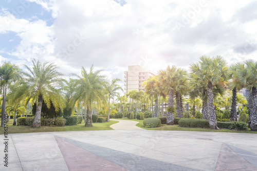 City park ,Walkway in park. Landscape with jogging track and bicycle lane at green park