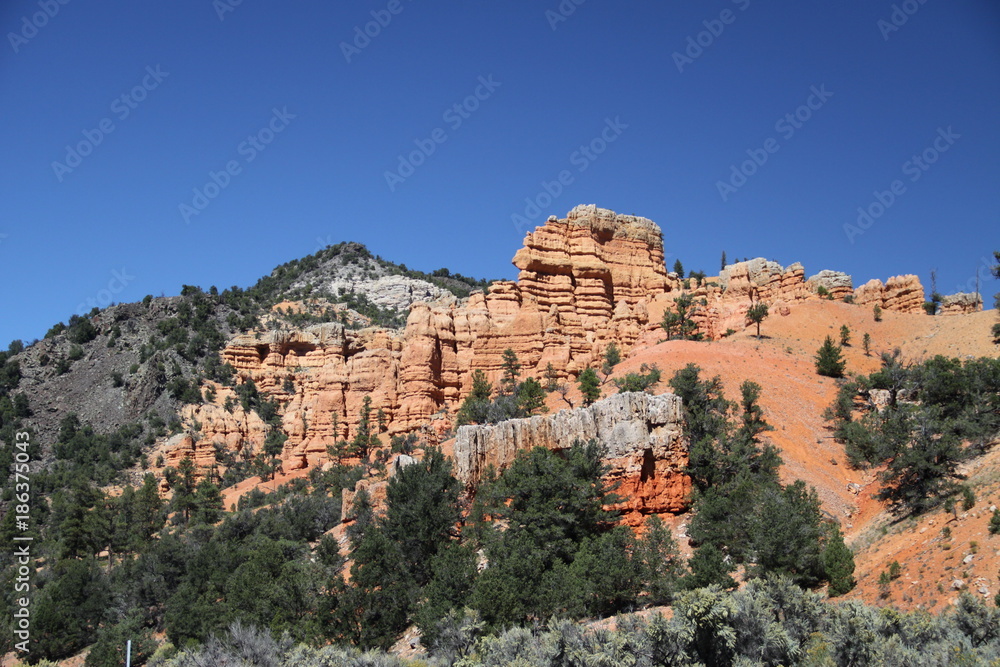 Dixie National Forest NP - Utah - USA Dixie National Forest NP - Utah - USA