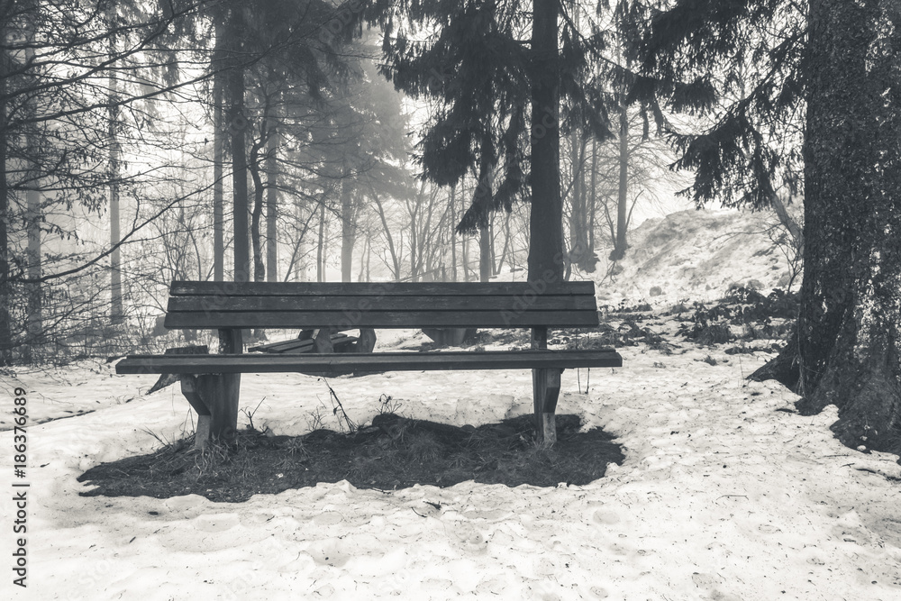 Wooden bench in the winter forest