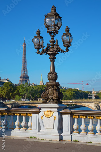 Bridge of Alexandre III in Paris © swisshippo