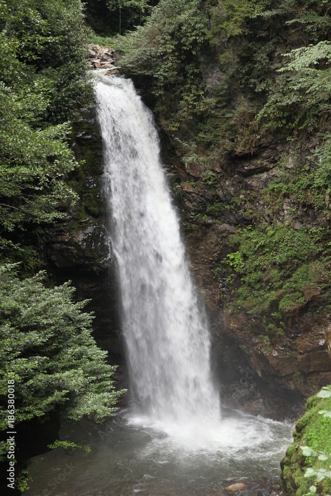 Fototapeta premium Palovit waterfall,çamlıhemşin, rize, turkey