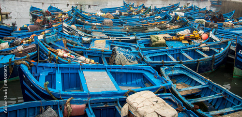 fish market Essaouira morocco catch selling fish shark, swordfish, sardine and hors mackerel, crap and work on boats