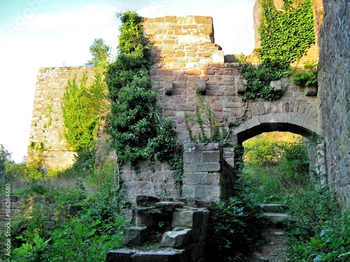 Ruine der Wolfsburg bei Neustadt an der Weinstraße photo