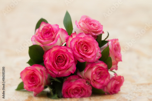 Beautiful bouquet of nine pink roses on a creamy background