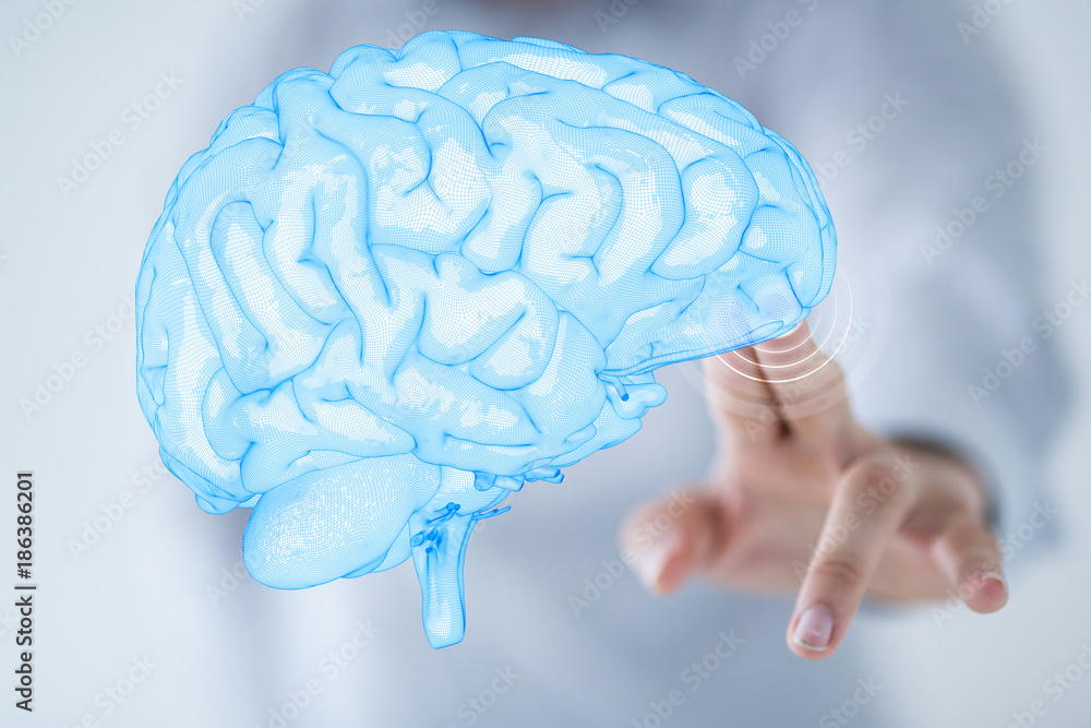 brain brain