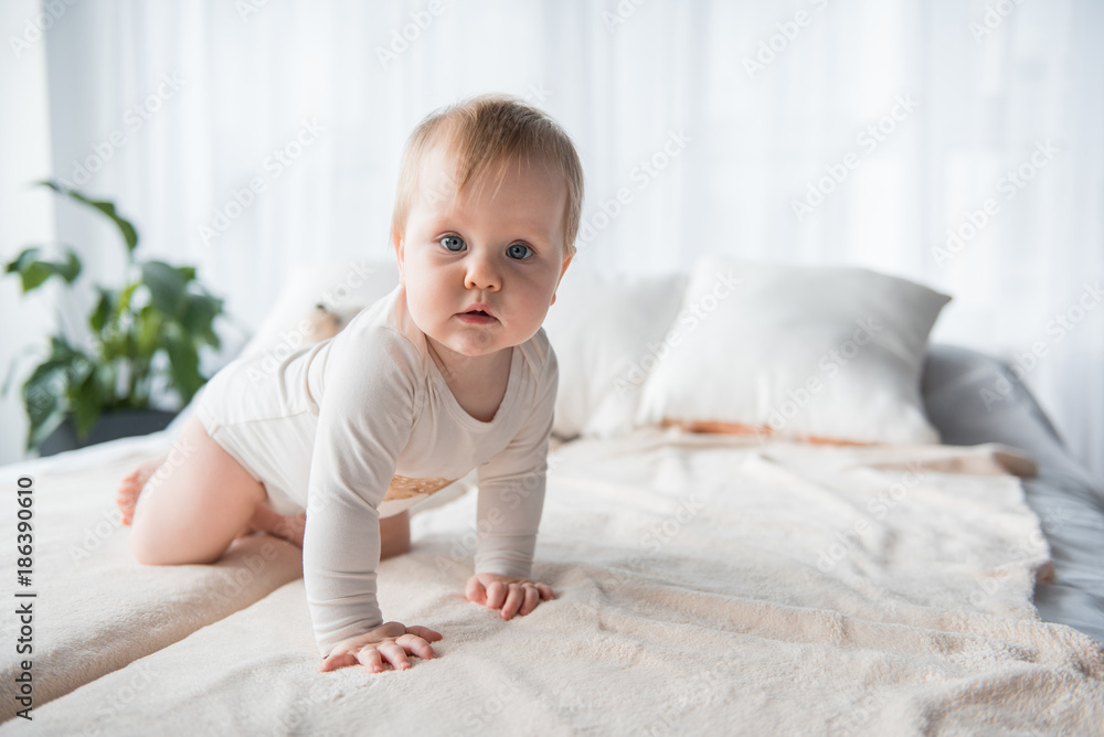 Full length portrait of cute infant crawling on the bed. She is looking at camera. Copy space in right side Full length portrait of cute infant crawling on the bed. She is looking at camera. Copy space in right side