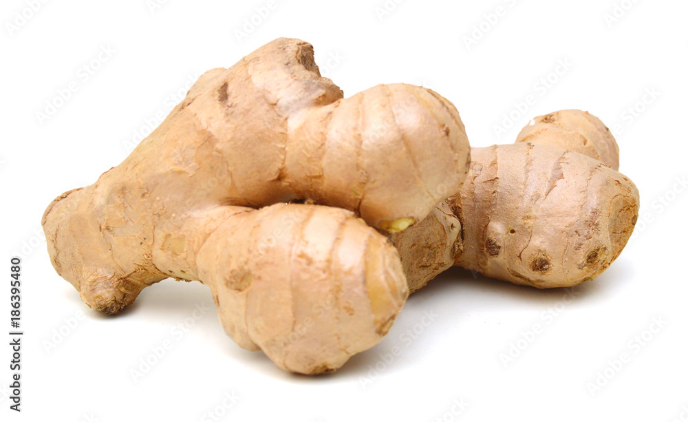 Fresh ginger root or rhizome isolated on white background cutout Fresh ginger root or rhizome isolated on white background cutout