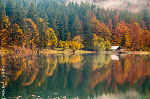 Autumn foliage at the alpine lake