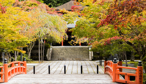 Japanese Autumn