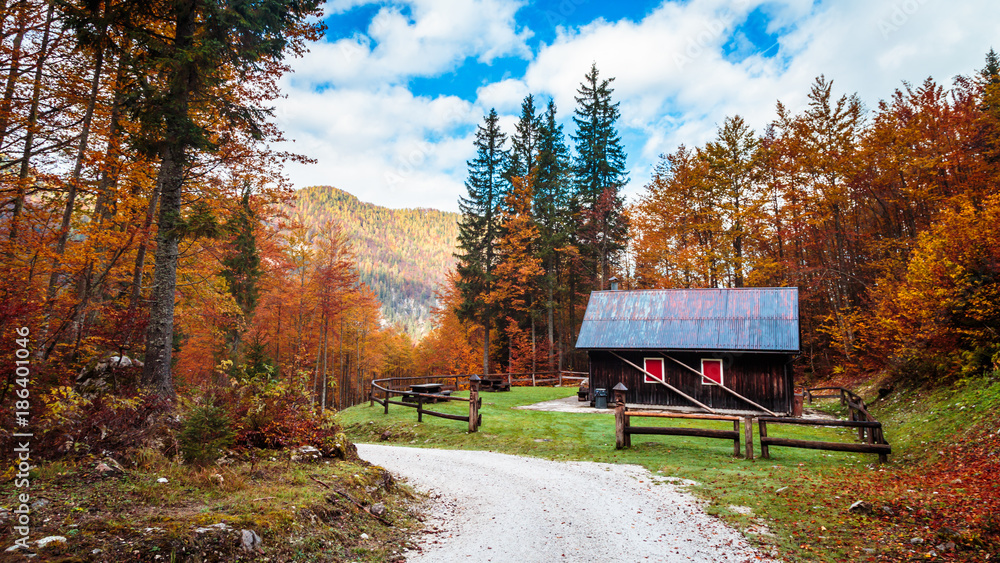 Obraz premium autumn sunset in the alpine valley
