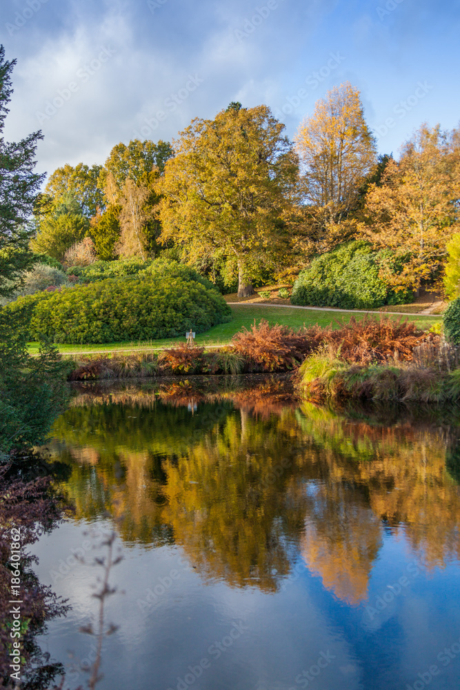 autumn trees reflected in a water in English countryside autumn trees reflected in a water in English countryside