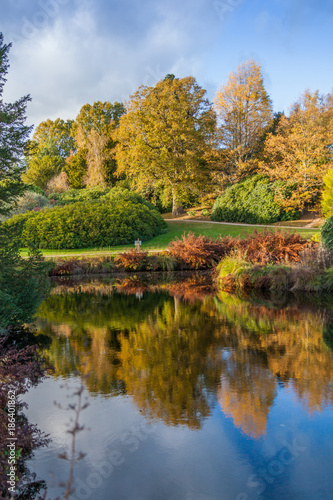 autumn trees reflected in a water in English countryside 
