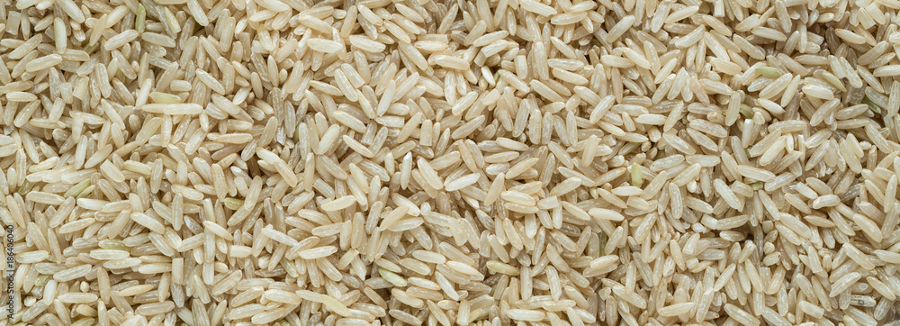 Brown Long Grain Rice Panorama