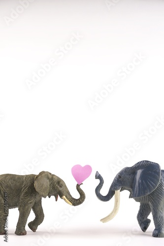 Photography Happy elephants   pink  hearts or backgrounds for valentines day baby