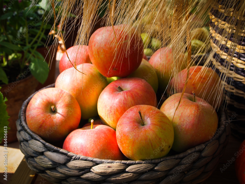 Apples in basket Apples in basket