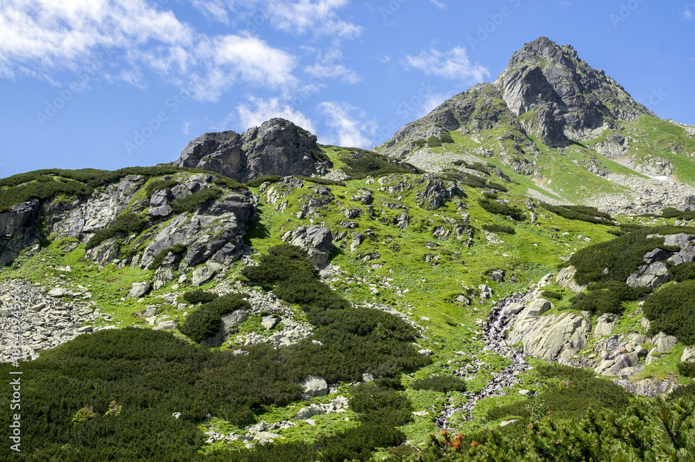 Obraz premium Mengusovska dolina, important hiking trail to hight mount Rysy, High Tatra mountains, Slovakia, amazing view with green hills