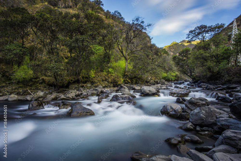 Scenic landscape of river flowing through lush rainforest in the woods. Scenic landscape of river flowing through lush rainforest in the woods.