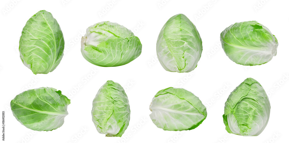 set of green pointed cabbage isolated on white background set of green pointed cabbage isolated on white background