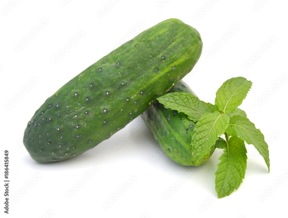 fresh cucumbers isolated on white fresh cucumbers isolated on white