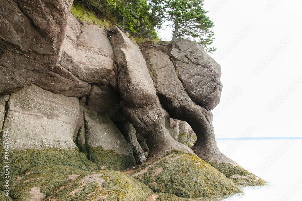Hopewell Rocks - New Brunswick - Canada