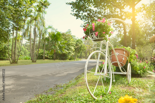 Beautiful vintage picture of white bicycle carryinng flower pots in public garden.