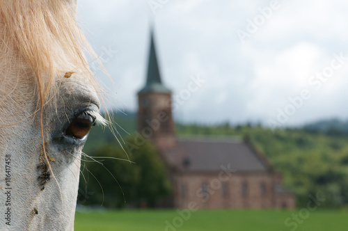 Eine Kirche und das braune Auge von einem weißen Pferd photo