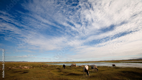 The scenery of Ejina, Inner Mongolia, China