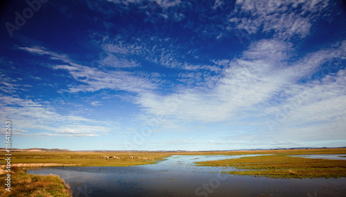 The scenery of Ejina, Inner Mongolia, China