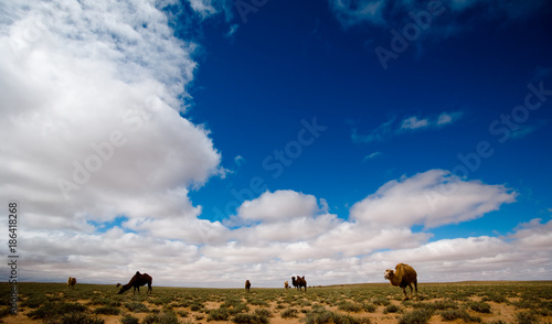 The scenery of desert in Ejina, Inner Mongolia, China