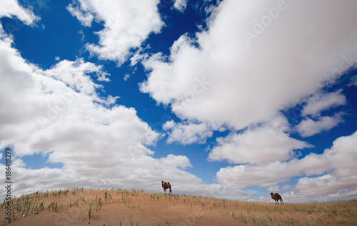 The scenery of desert in Ejina, Inner Mongolia, China