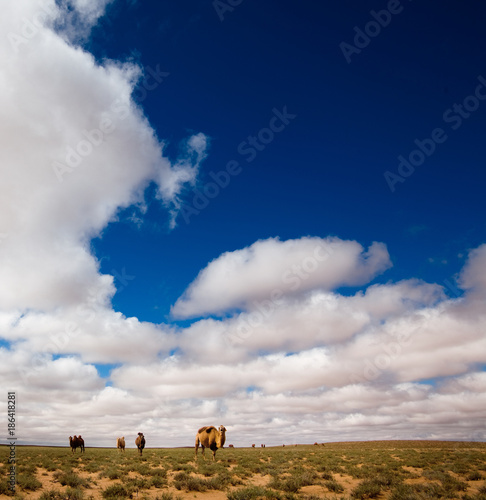 The scenery of desert in Ejina, Inner Mongolia, China