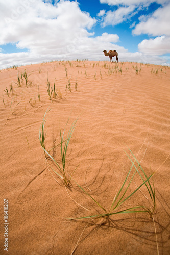 The scenery of desert in Ejina, Inner Mongolia, China