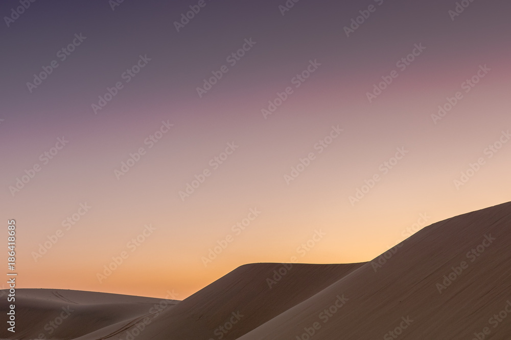 The Majestic Desert Dunes