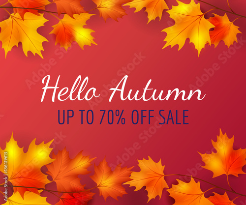 Autumn poster background with leaves and text, vector illustration