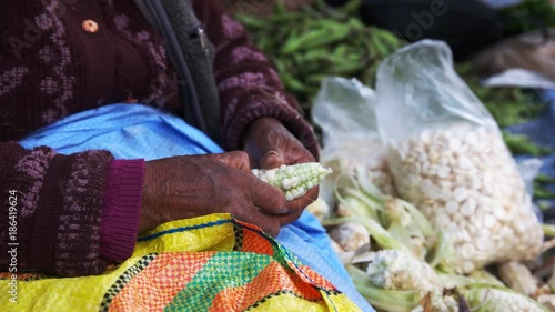 side on view of a peruvian woman taking giant corn kernels of the cob at a street market in cusco, peru